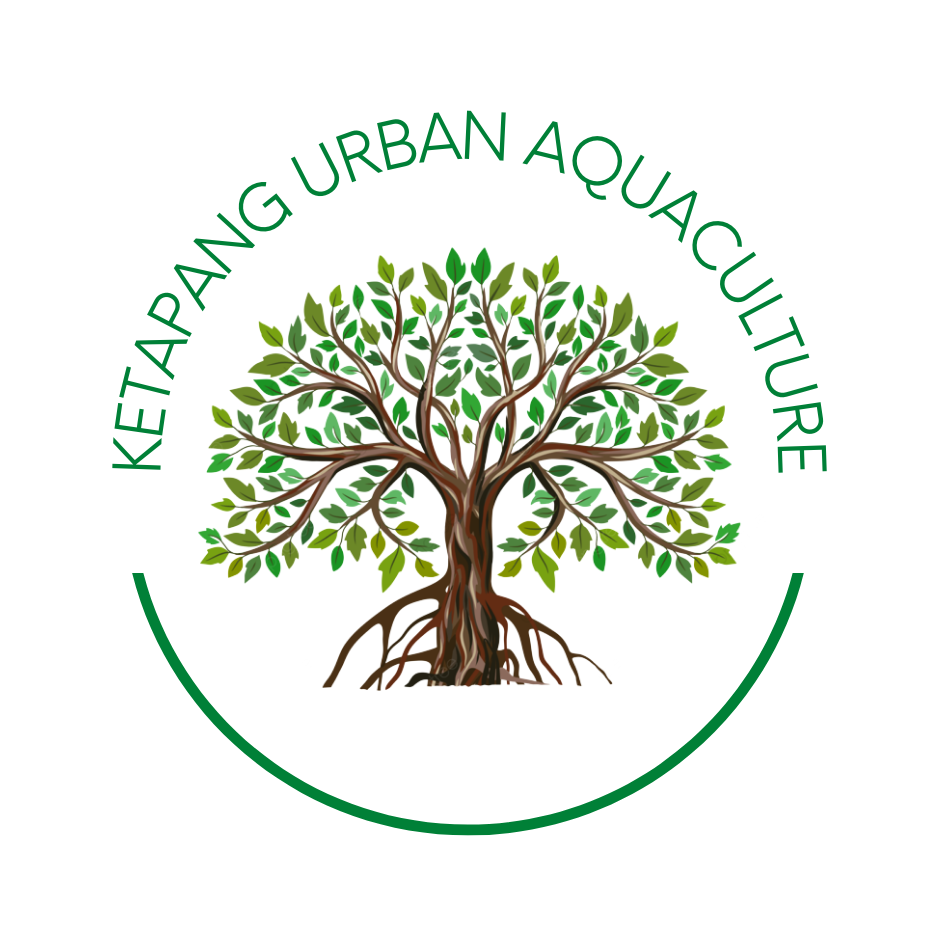 Ketapang Urban Aquaculture